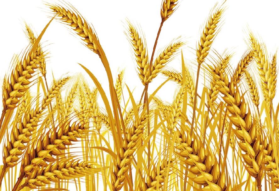 徐州市中橋拍賣(mài)有限公司榮獲中國(guó)拍賣(mài)行業(yè)AA級(jí)企業(yè)